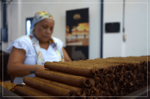 culture-history-illustration