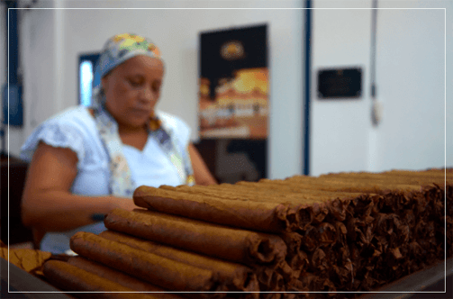 culture-history-illustration