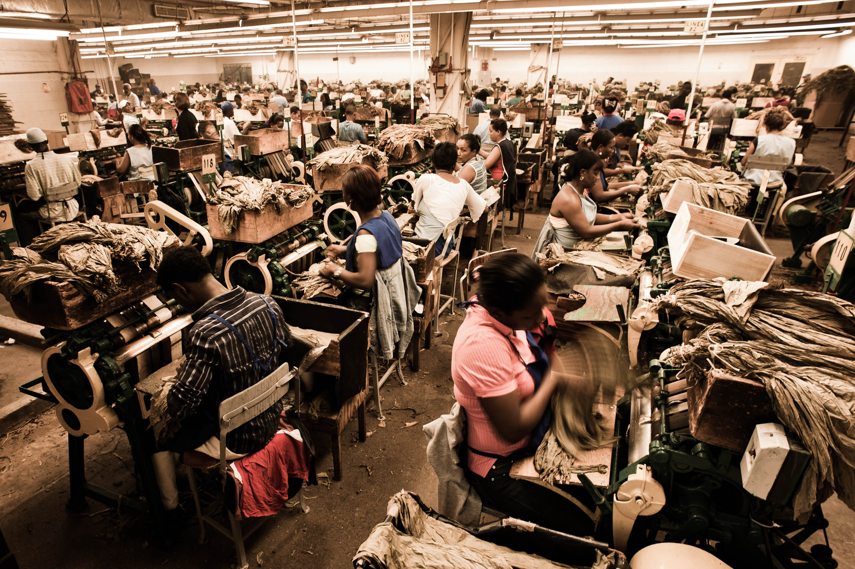 Handmade_cigar_production,_process._Shopfloor_of_Tabacalera_de_Garcia_Factory._Casa_de_Campo,_La_Romana,_Dominican_Republic.jpg