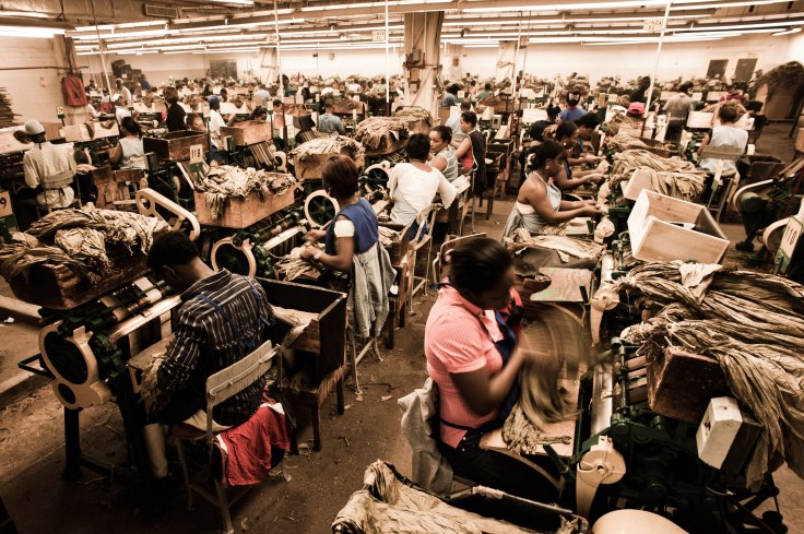 Handmade_cigar_production,_process._Shopfloor_of_Tabacalera_de_Garcia_Factory._Casa_de_Campo,_La_Romana,_Dominican_Republic.jpg