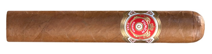 punchshortdepunch-1-1600