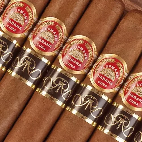 Charutos cubanos: A excelência em charutos