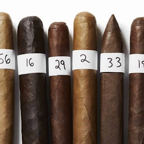 Tipos de charutos para todos os paladares: Explorando a diversidade