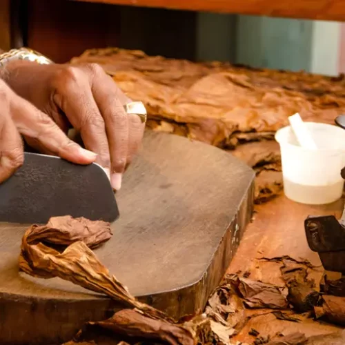 Uma breve história dos charutos