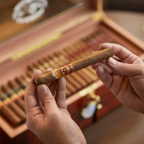 Como escolher um charuto