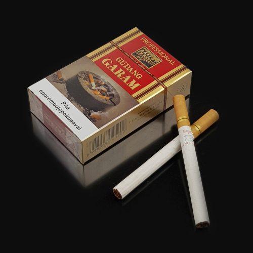 Cigarro Gudang Garam Professional Cravo