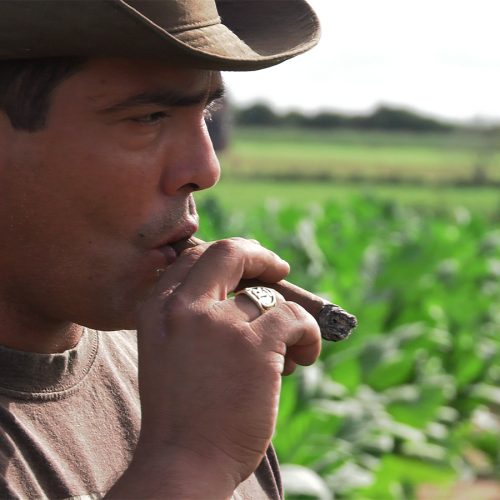 Robaina Documentary Screening Next Week Em Nova York