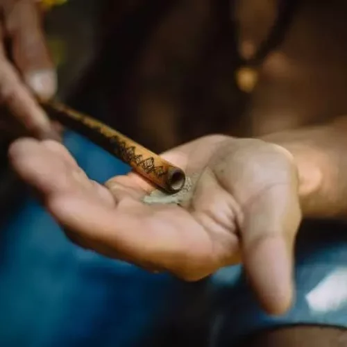 A tradição ancestral do rapé: Uma viagem pelo mundo dessa forma única de tabaco