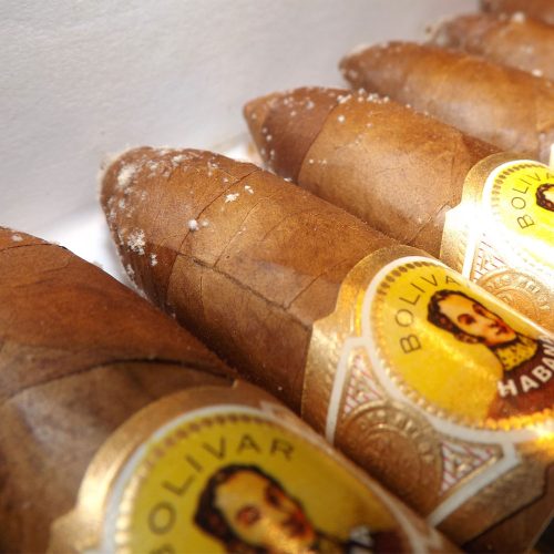 Plume ou Bloom: Como saber se o charuto está com mofo