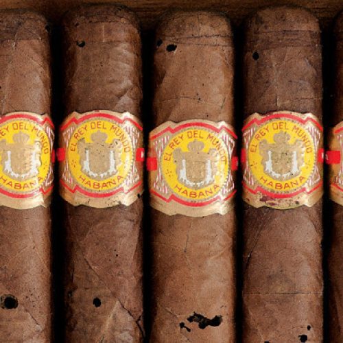 Lasioderma, o pesadelo dos Charutos!