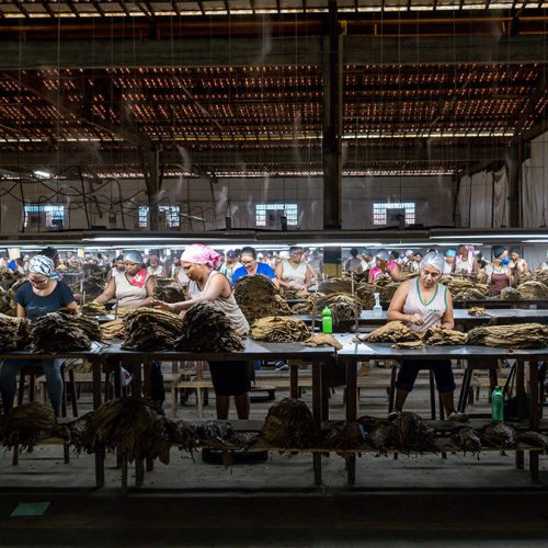 Villiger inaugura nova fábrica de charutos no Brasil